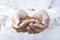 �L����s�̃T�[�r�X�ƌo���x��